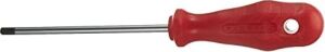 Tr 25 Delikli Torx Uçlu Tornavida
