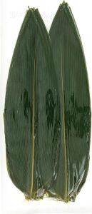 Guri Bambu Yapraği 100 Yaprak En: 7-8 cm Boy: 30 cm