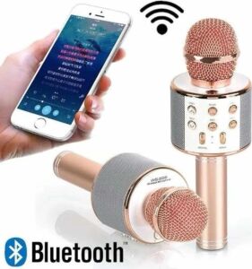 Karaoke Mikrofon Dahili Hoparlörlü Sd-Usb-Aux Girişli Bluetooth Hoparlör