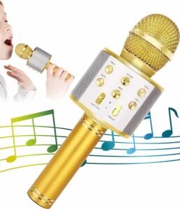 Karaoke Mikrofon Dahili Hoparlörlü Sd-Usb-Aux Girişli Bluetooth Hoparlör