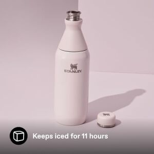 All Day Slim Soğuk Su Şişesi Termosu, 0.60 Litre, Pembe Kuvars (Rose Quartz)