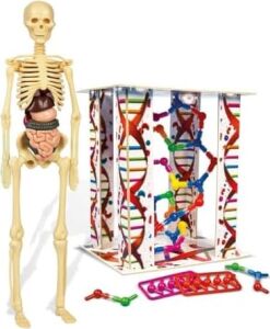 - 64297 - Ilk Keşiflerim - Insan Anatomisi