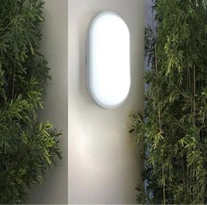 Banyo Tavan Lambası  20W Oval Balkon Tavan Lambası 6400K Beyaz LED Işık Teras Duvar Lambası (Beyaz)