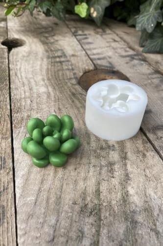 Concept Moonstone Sukulent Mum Kalıbı (Silikon)