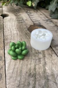 Concept Moonstone Sukulent Mum Kalıbı (Silikon)