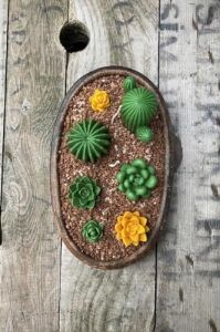 Concept Moonstone Sukulent Mum Kalıbı (Silikon)