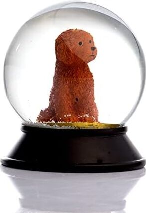 Cam ve Reçine Altın Patiler Köpek Toy Poodle (Tarçın) Kar Küresi Hediye