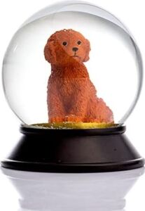 Cam ve Reçine Altın Patiler Köpek Toy Poodle (Tarçın) Kar Küresi Hediye