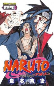 Naruto 43. Cilt (Kapak Değişebilir)