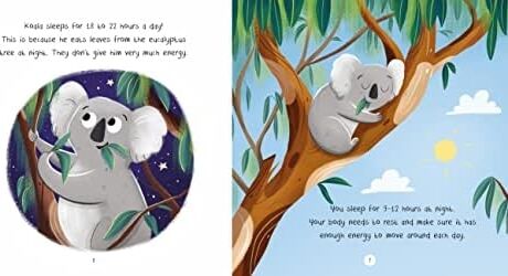 Healthy Habits: Koala's Guide To Sleep