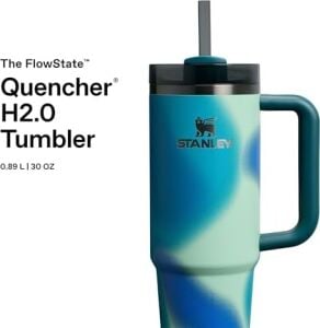 Quencher Pipetli Termos Bardak, 0.89 Litre, Turkuaz Desenli (Coastal Teal)