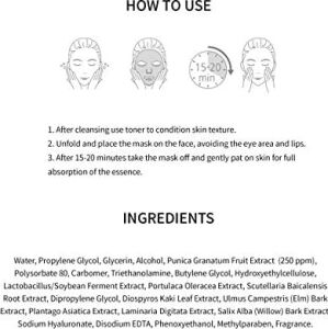 Pomegranate Hydrating Maske