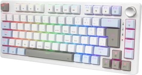 Gravion Vexor Rgb Mekanik Gaming Oyuncu Klavyesi 82 Tuş | 3 Mod (Bluetooth + 2.4g + Kablolu) | Huano Brown Kahverengi Switch Linear | 2000MAH Batarya | Anti-Ghosting Kompakt%75 Hot Swap