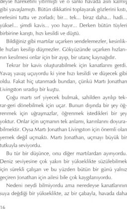 Martı Jonathan Livingston