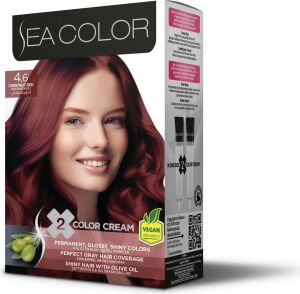 4.6 Kestane Kızılı Set Boya