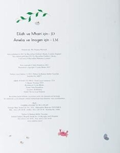 Şarkıcı Denizkızı