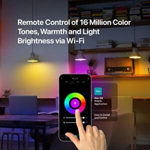 Ttec, Fıg. Lumi Çok Renkli LED Wi-Fi Akıllı Ampul