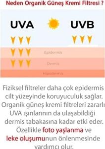 Ql Yüz Güneş Kremi 50 + Spf Faktör Leke Karşıtı Çok Yüksek Koruma (1 x 110 Ml)