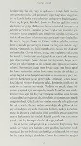 Hayvan Çiftliği