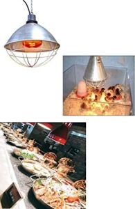 Ledvance 250W Infrared Şeffaf Ampul E27
