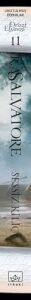 Drizzt Efsanesi 11. Kitap - Sessiz Kılıç