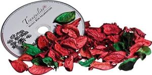 Macma Unique Home MC-87958-PT Potburi ve Relax CD Set, Kırmızı