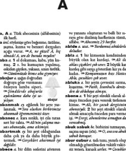 Ilkokul Türkçe Sözlük: Kırmızı Kapak