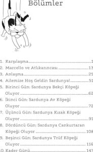 Gökten Düşen Köpek
