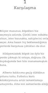 Gökten Düşen Köpek