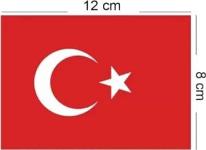 23 Nisan Süsleri 23 Nisan Hediyeleri Ipli Ay Yıldızlı Bayrak 50 Li, 50'li Mini İpli Ata Baskılı Bayrak