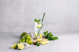 Sorrento Çift Camlı 2'li Soğuk Içecek Bardağı Seti, 474 Ml, Cam, Şeffaf Cam